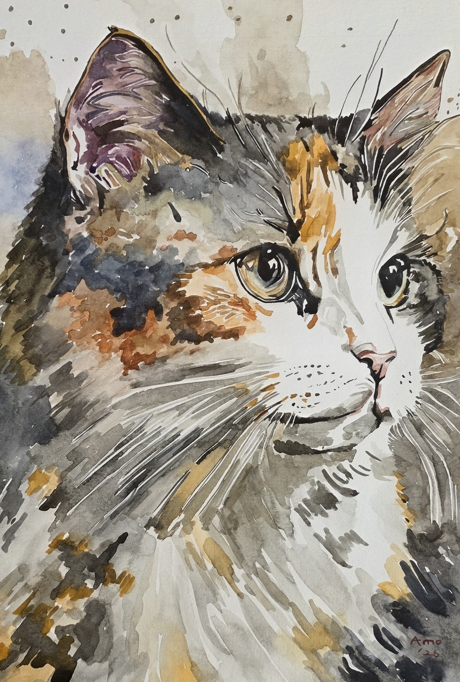 Whiskers & Wonder
